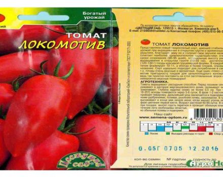 Description de la variété de tomate standard Lokomotiv et ses caractéristiques