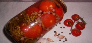 Recettes pour mariner les tomates aux groseilles rouges pour l'hiver