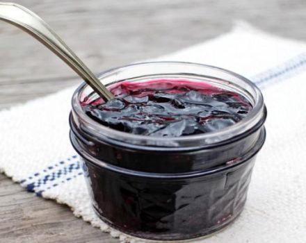 Jednoduchý recept na výrobu chutné irgi jam na zimu