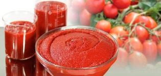 TOP 10 recipes on how to make tomato paste from tomatoes at home