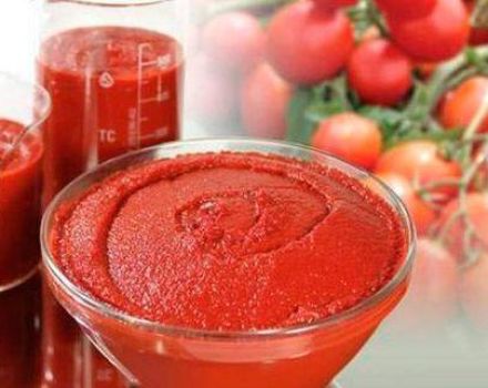 TOP 10 recipes on how to make tomato paste from tomatoes at home