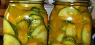 2 step-by-step recipes for cooking zucchini with turmeric for the winter