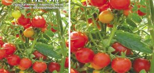 Description de la variété de tomates Florida petite et de ses caractéristiques