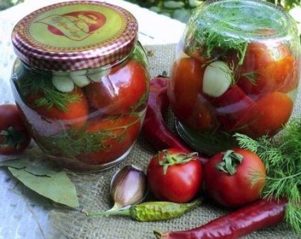 12 meilleures recettes pour cuisiner des tomates épicées pour l'hiver étape par étape