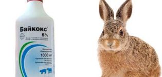 on the use of Baykoks for rabbits, composition and shelf life