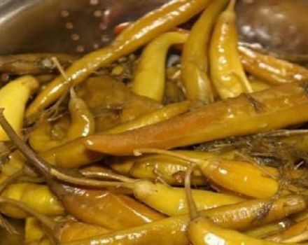 10 receptes delicioses de pebrots calents marinats en armeni per a l’hivern, preparació i emmagatzematge