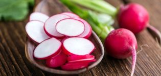 Is it possible to freeze radishes for the winter and how to do it correctly