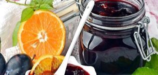 Une recette simple pour faire de la confiture de prune à l'orange pour l'hiver