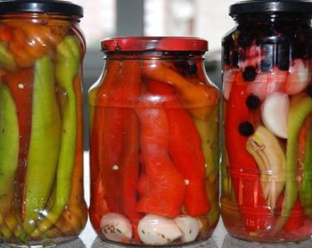 Recetas Tsitsak de pimiento amargo en escabeche al estilo georgiano para el invierno