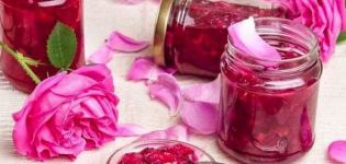 10 recettes de confiture de pétales de rose maison