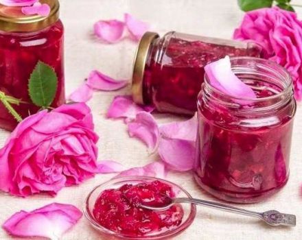 10 recettes de confiture de pétales de rose maison