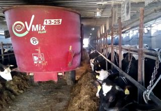 Varieties of feed dispensers for cattle and rules for their use on farms