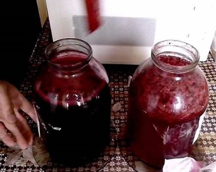 4 best recipes for making fruit and berry wine at home