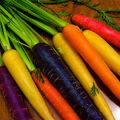 Description, characteristics and features of growing the best varieties of carrots