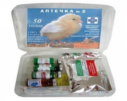 Contents of the first aid kit for chickens and instructions for the use of preparations