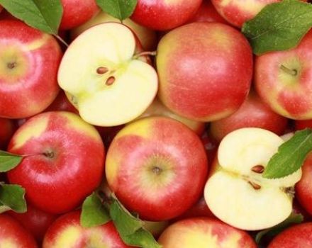 18 meilleures recettes pour faire des blancs de pommes pour l'hiver