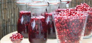 TOP 22 recipes for preparing bilberries without cooking for the winter