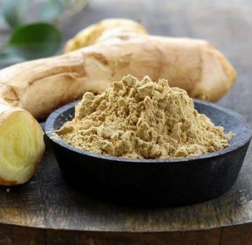 Useful properties and contraindications of ground and dried ginger