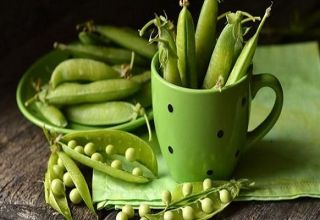 Useful properties and harm of green peas for the health of the body