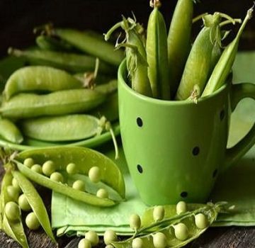 Propriétés utiles et méfaits des pois verts pour la santé du corps