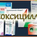 Инструкции за употреба и състав на Амоксицилин за говеда, норми на потребление