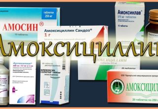 คำแนะนำการใช้และองค์ประกอบของ Amoxicillin สำหรับโคอัตราการบริโภค