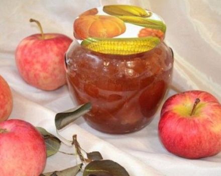 20 recettes pour faire de la confiture de pommes pour l'hiver à la maison