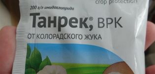 Инструкции за използване на лекарството Tanrek за колорадския бръмбар от Колорадо, как да се размножава правилно