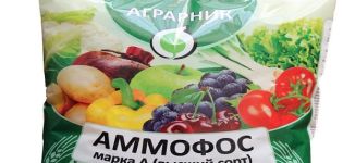 Instructions for use and composition of Ammophos fertilizer, how to breed it