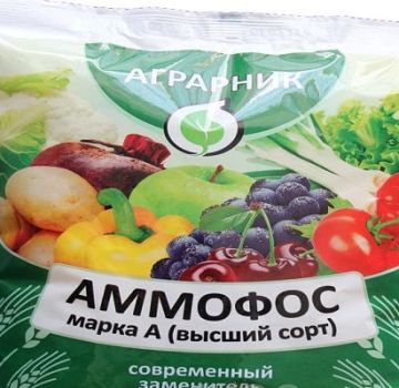 Instructions for use and composition of Ammophos fertilizer, how to breed it