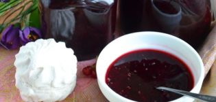 TOP 21 des recettes pour préparer une délicieuse confiture de cassis pour l'hiver