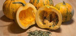 Description of gymnospermous pumpkin variety, its characteristics and cultivation