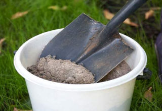 Cómo alimentar, fertilizar y regar pepinos en campo abierto con remedios caseros.