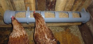 How to make a do-it-yourself chicken feeder from scrap materials, drawings