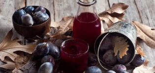 11 recettes simples pour faire des compotes de prunes pour un pot de 1 à 3 litres