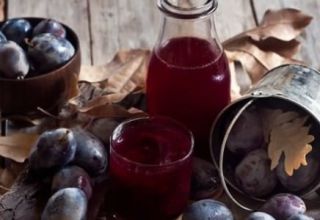 11 simple recipes for making plum compotes for a 1-3 liter jar