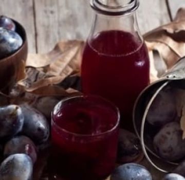 11 simple recipes for making plum compotes for a 1-3 liter jar