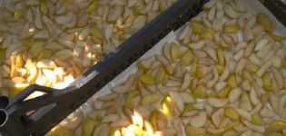 How to properly dry pears in the oven and electric dryer