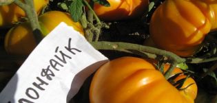 Description et caractéristiques de la variété de tomate Klondike