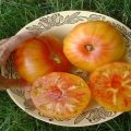 Description de la variété de tomate Ananas hawaïen, caractéristiques de culture et d'entretien