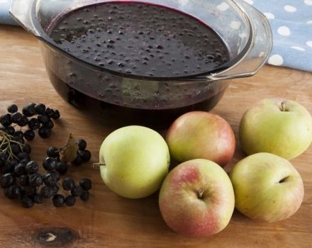 Een eenvoudig recept voor het maken van bramenjam met appels voor de winter