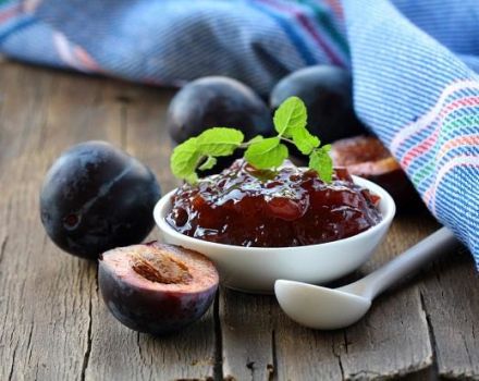 6 recipes for making plum jam-five minutes for the winter