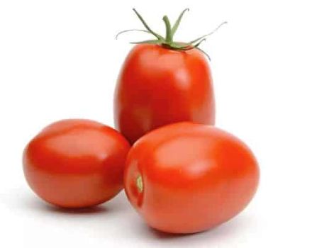 Description of the variety tomato Slivovka and its characteristics