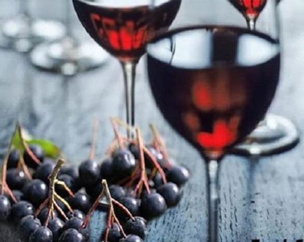 7 easy step-by-step recipes for making chokeberry wine at home