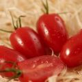 Características y descripción de la variedad de tomates Ladies dedos, su rendimiento.