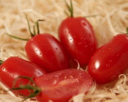 Características y descripción de la variedad de tomates Ladies dedos, su rendimiento.