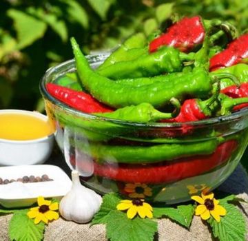 TOP 14 recetas simples para hacer chiles en escabeche para el invierno