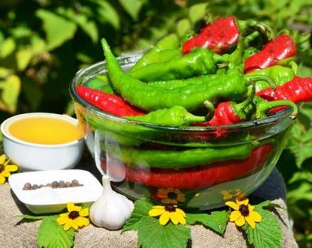 TOP 14 des recettes faciles pour faire des piments marinés pour l'hiver