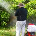 How to process currants when twisting leaves, what means to fight