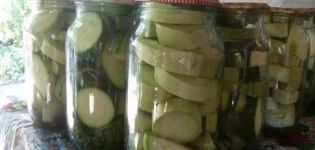 TOP 5 recetas paso a paso para calabacines en escabeche como en la URSS